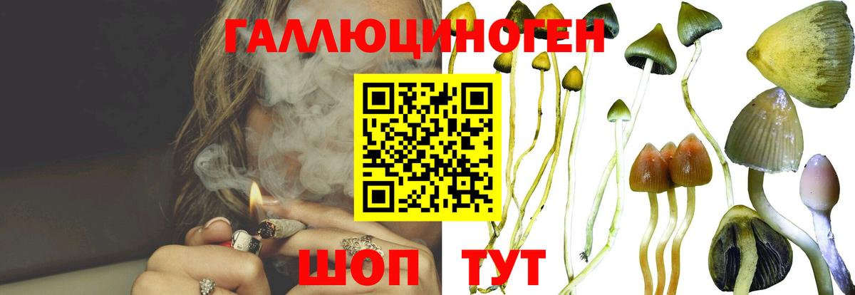 Галлюциногенные грибы GOLDEN TEACHER  Вход с VPN  Псилоцибиновые грибы Magic Shrooms  Еманжелинск 