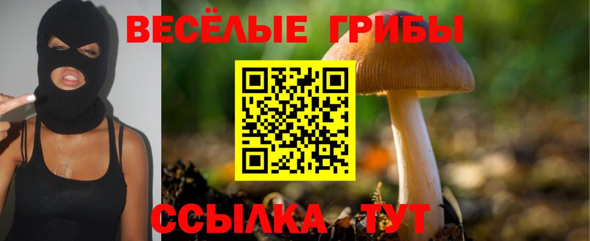 Псилоцибиновые грибы Magic Shrooms Еманжелинск
